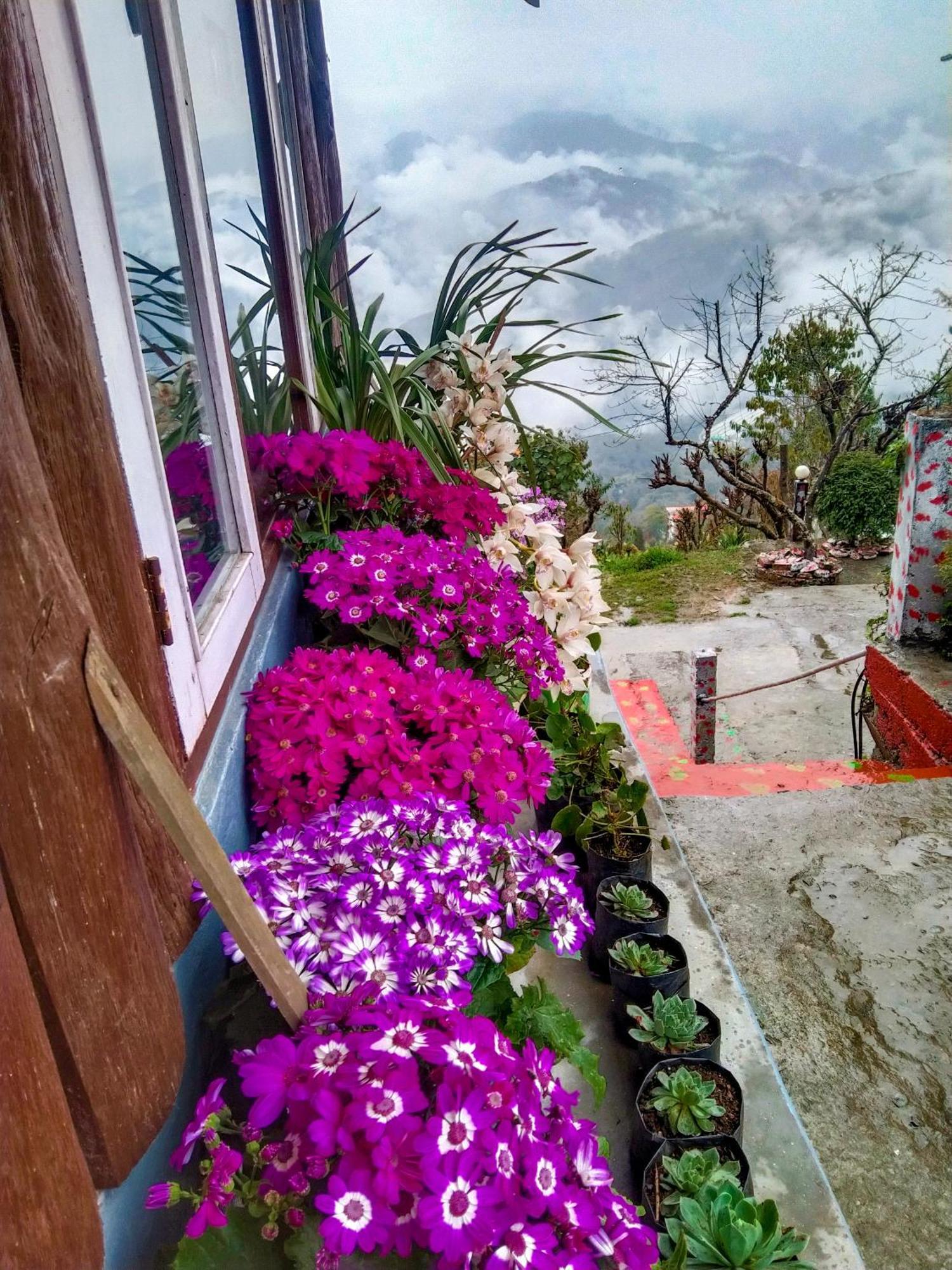 The Himalayan Resort Ravangla Extérieur photo