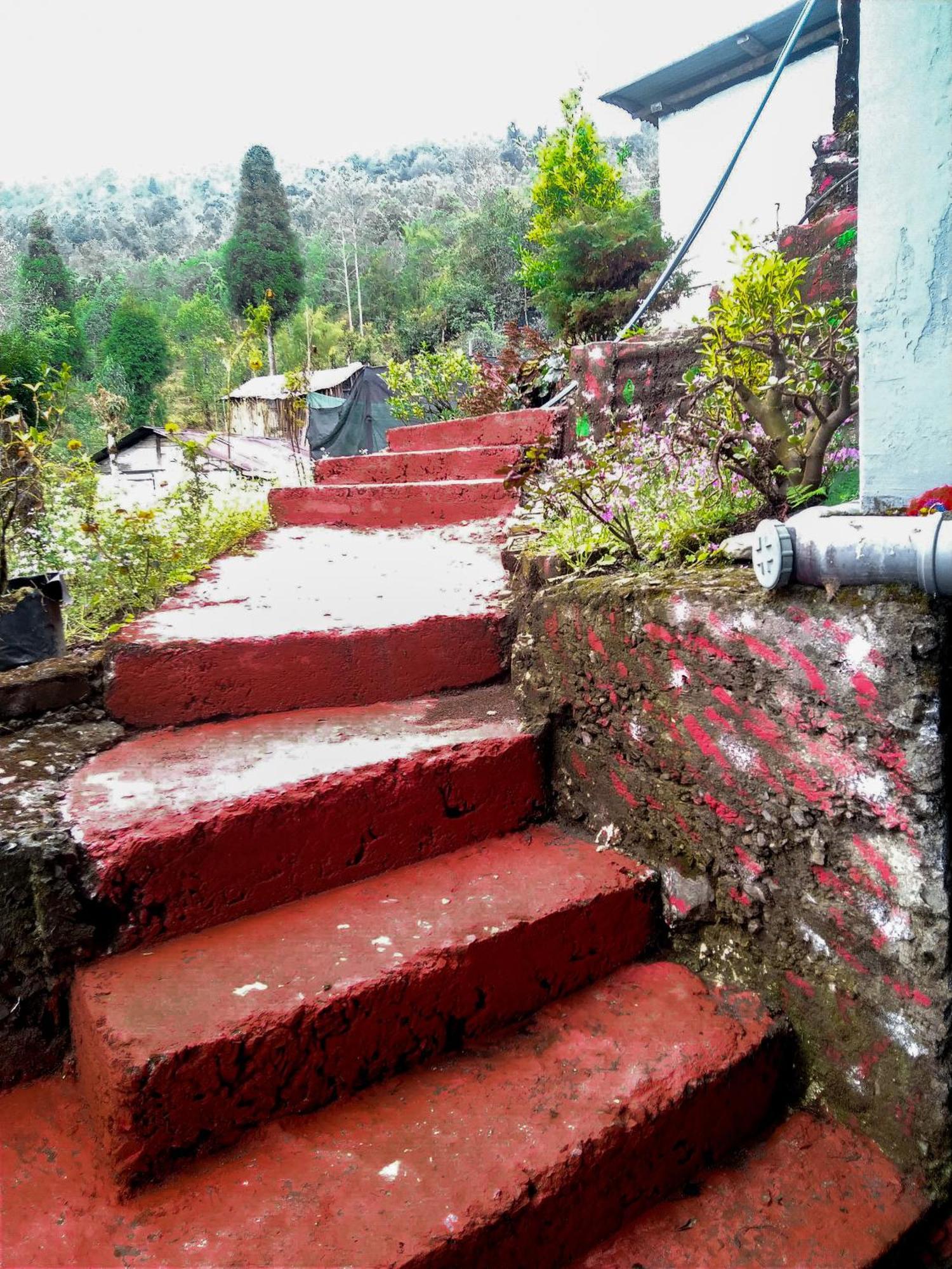 The Himalayan Resort Ravangla Extérieur photo